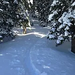 Alpendomizil Pia Mühlbach am Hochkönig