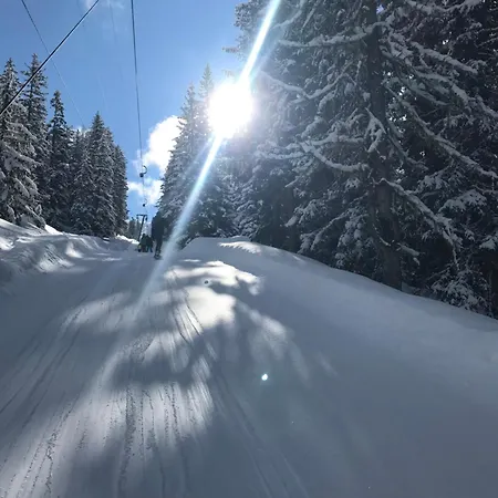 Alpendomizil Pia Mühlbach am Hochkönig