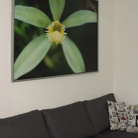 Alpendomizil Pia Apartmán Mühlbach am Hochkönig