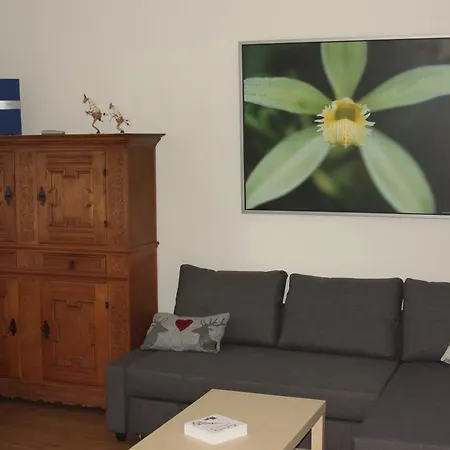 Alpendomizil Pia 公寓 *