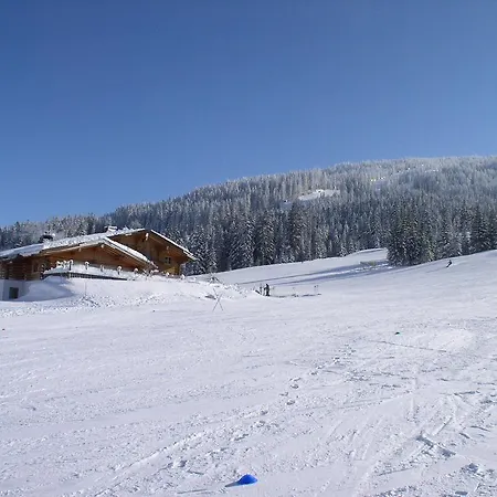Alpendomizil Pia Apartment Mühlbach am Hochkönig