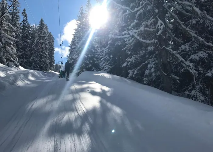 Alpendomizil Pia Mühlbach am Hochkönig