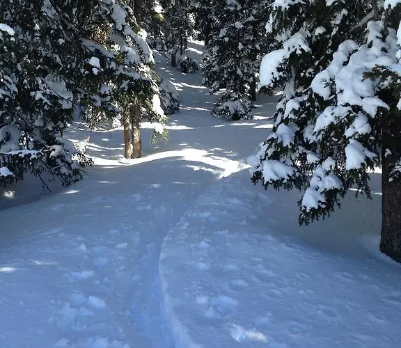 Alpendomizil Pia Mühlbach am Hochkönig