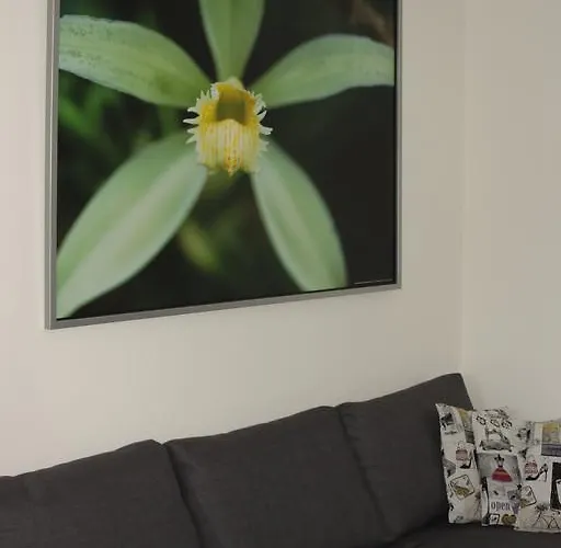 Alpendomizil Pia Appartement Mühlbach am Hochkönig